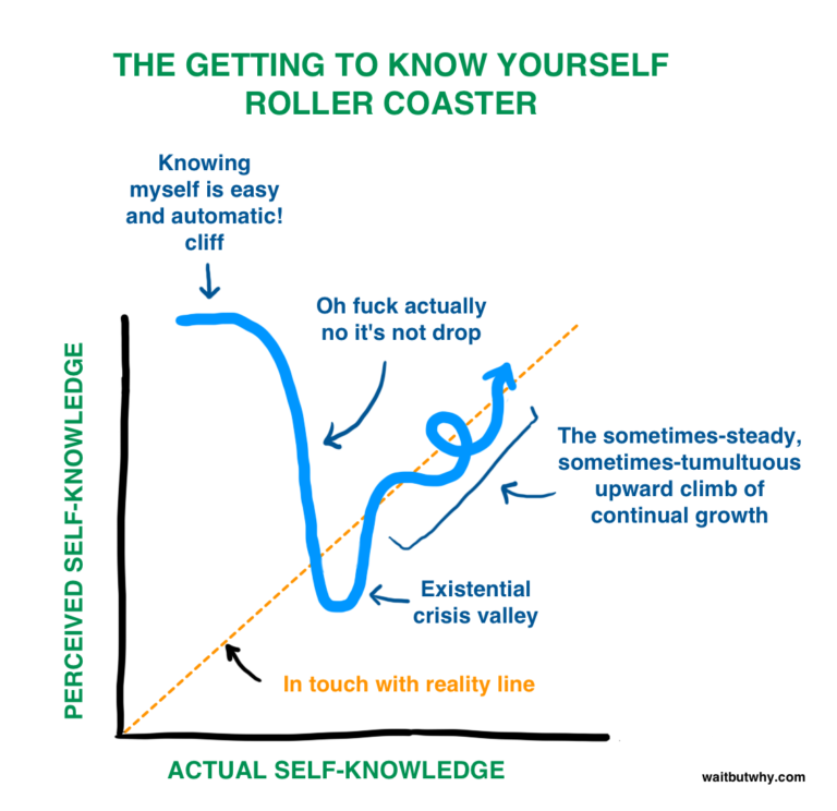 ./resources/model-self-knowledge-roller-coaster.resources/picture.jpg
